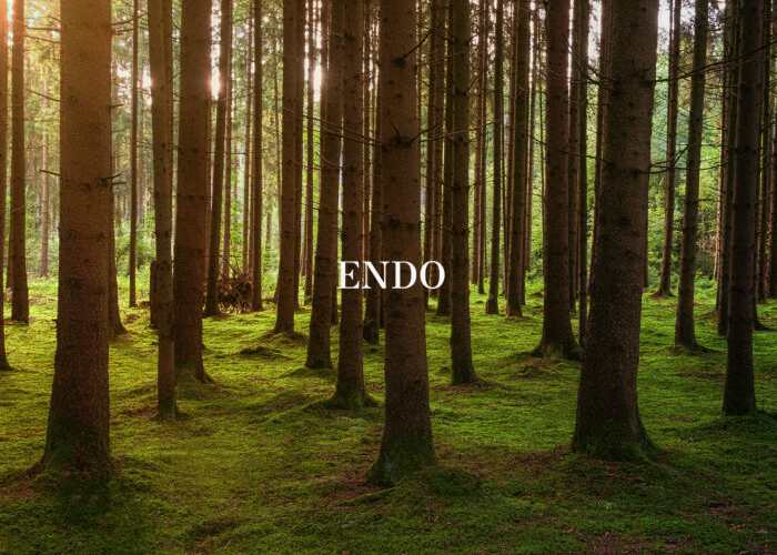 株式会社ENDOのキャプチャ画像