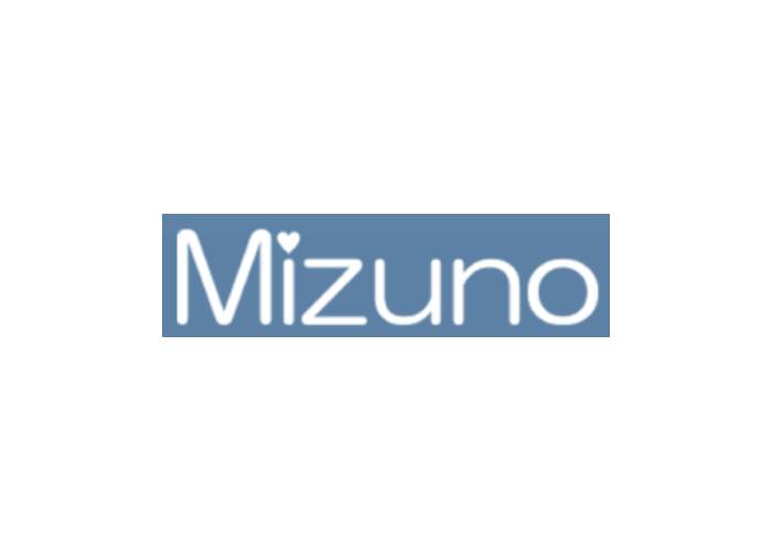 有限会社 水野建築 水野建築設計事務所のキャプチャ画像